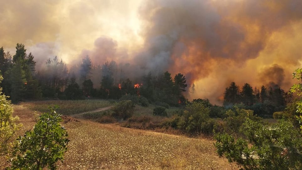 πυρκαγιά στην περιοχή Πλατανιστού