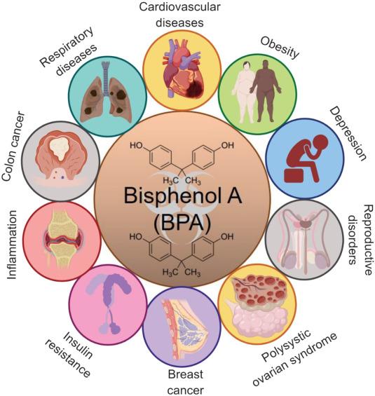 Bisphenol A - Health impacts