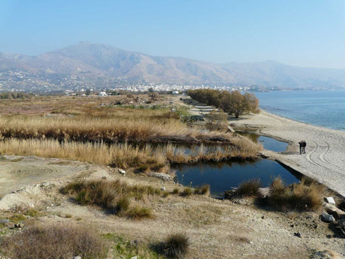 Υγρότοπος Ρηγιά στον κάμπο Καρύστου